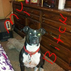 Meet your Posher, Steven